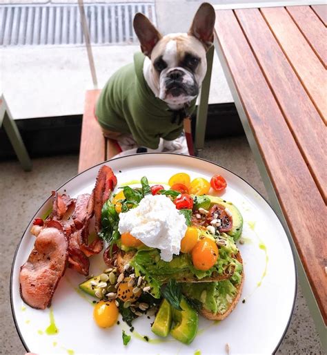 Here are Melbourne's best dog-friendly restaurants, bars and cafes — each happy to have furry guests along in some or all of their spaces. Some of them even have dedicated canine menus, dedicated dog Instagram accounts or doggy merch. Recommended reads: The Best Dog-Friendly Hotels in Australia. The Best Restaurants in Melbourne. 